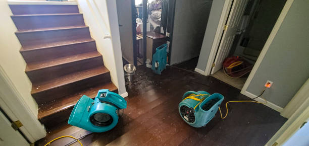 Best 24-hour water damage restoration  in Wells, MN