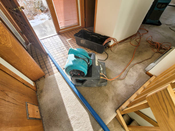 Best Emergency water damage restoration  in Wells, MN