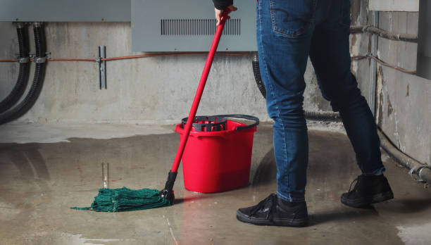 Wells, MN Water damage restoration Company