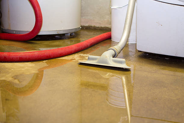 Carpet water damage restoration in Wells, MN