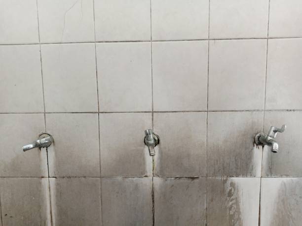 Water damage restoration mold remediation in Wells, MN